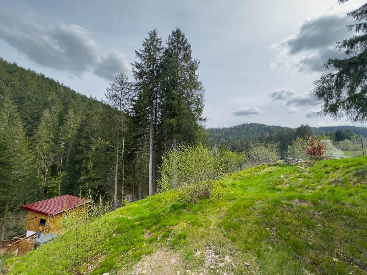 Le Refuge Perche Du Saut De La Bourrique Spa, Terrain Cloture جوراردُميه المظهر الخارجي الصورة