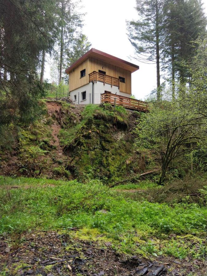 Le Refuge Perche Du Saut De La Bourrique Spa, Terrain Cloture جوراردُميه المظهر الخارجي الصورة