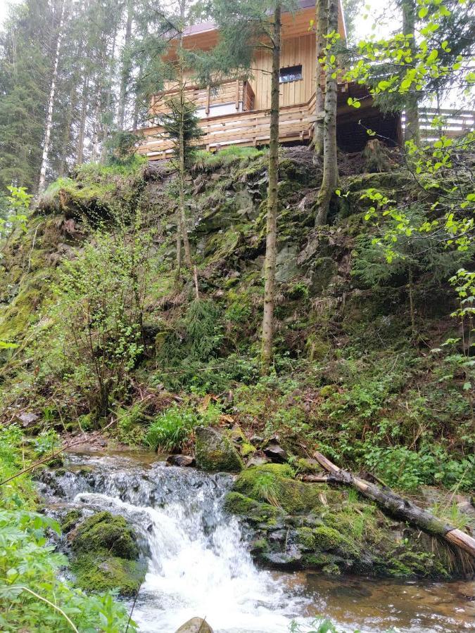 Le Refuge Perche Du Saut De La Bourrique Spa, Terrain Cloture جوراردُميه المظهر الخارجي الصورة