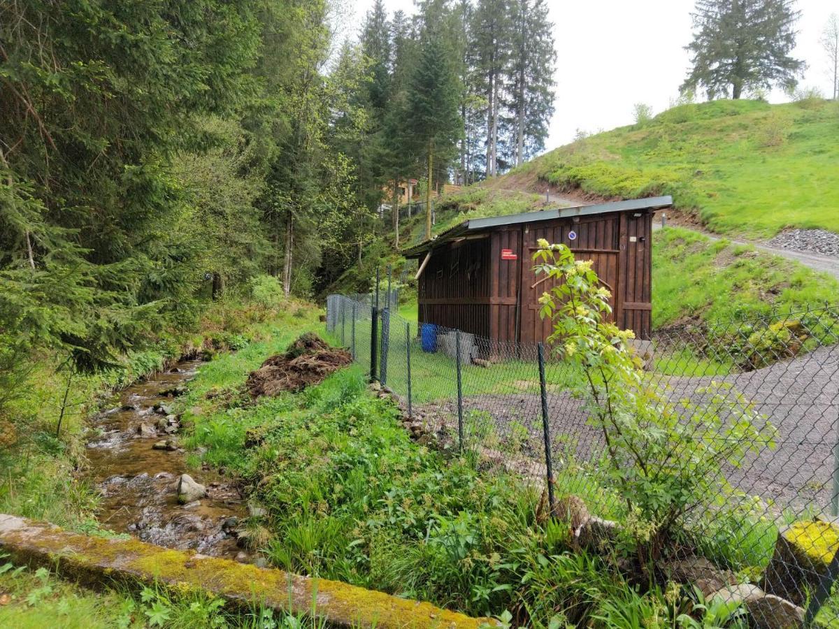 Le Refuge Perche Du Saut De La Bourrique Spa, Terrain Cloture جوراردُميه المظهر الخارجي الصورة