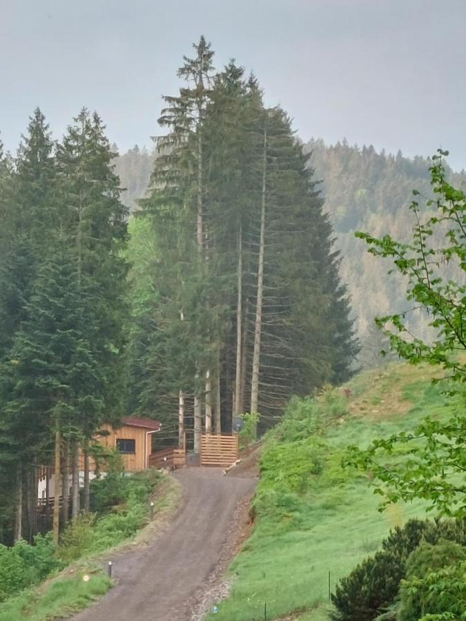 Le Refuge Perche Du Saut De La Bourrique Spa, Terrain Cloture جوراردُميه المظهر الخارجي الصورة