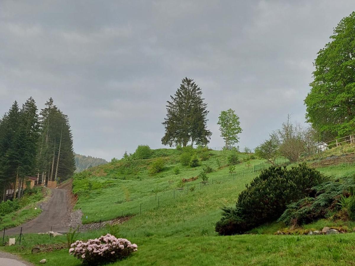 Le Refuge Perche Du Saut De La Bourrique Spa, Terrain Cloture جوراردُميه المظهر الخارجي الصورة