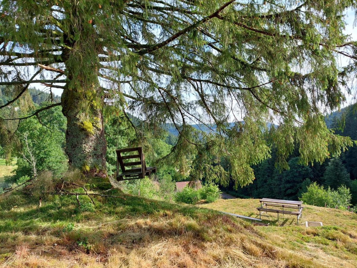 Le Refuge Perche Du Saut De La Bourrique Spa, Terrain Cloture جوراردُميه المظهر الخارجي الصورة