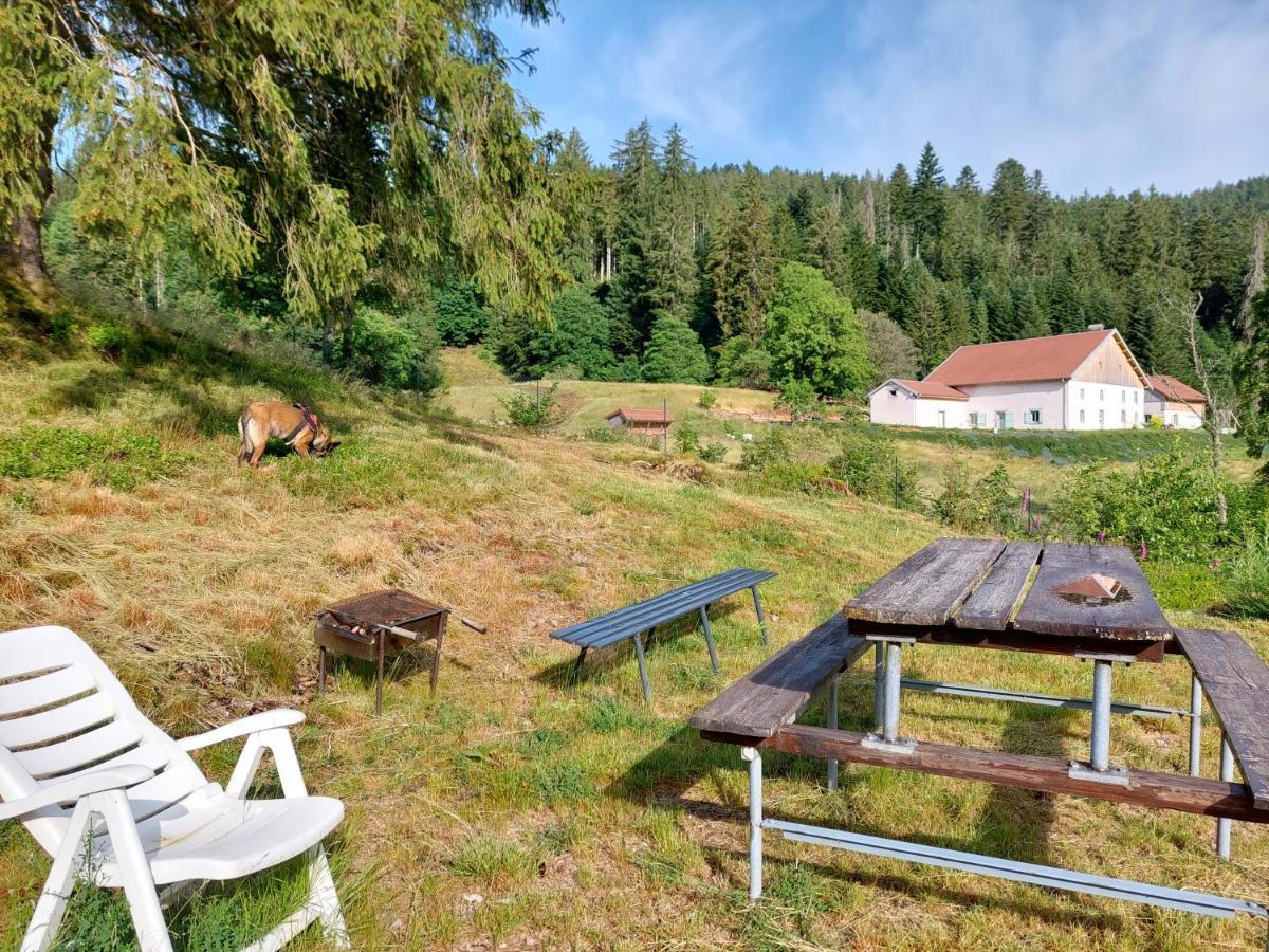 Le Refuge Perche Du Saut De La Bourrique Spa, Terrain Cloture جوراردُميه المظهر الخارجي الصورة
